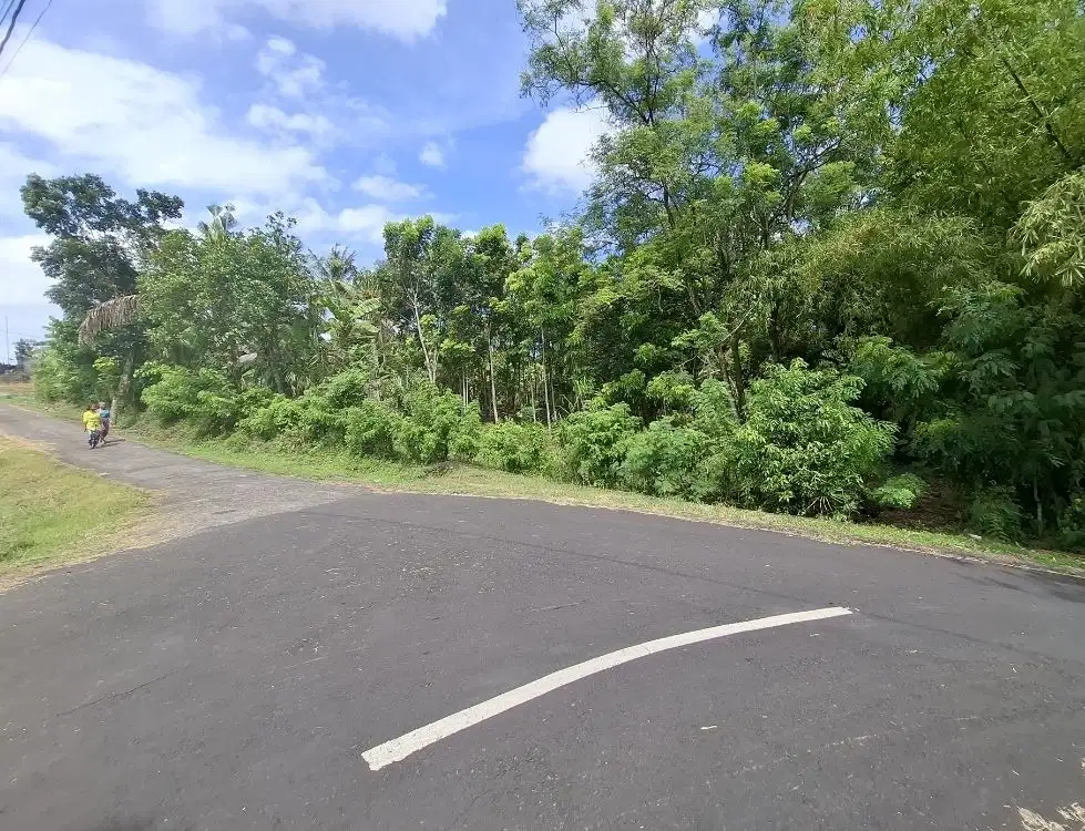 Dijual tanah dekat pantai di selemadeg tabanan