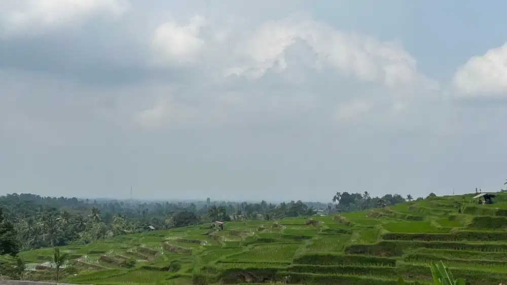 Tanah luasan kecil view sawah cocok untuk hunian