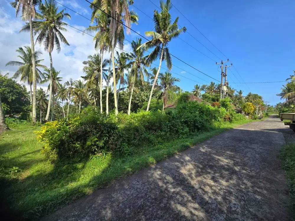 Dijual tanah kebun view sawah