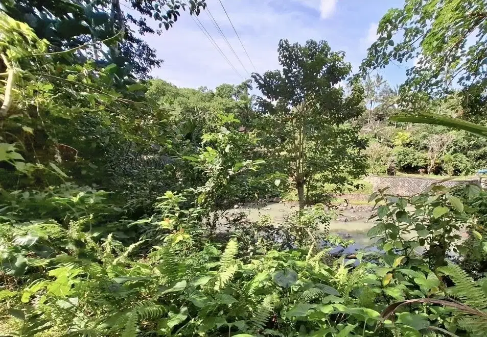 Dijual tanah los sungai jernih di tabanan bali