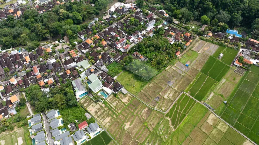 Tanah Hunian 775 m² dengan Nuansa Hutan yang Tenang di Cepaka