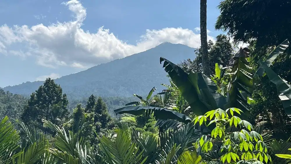 Di jual tanah dengan view gunung dan sawah di ketinggian 600 MDPL