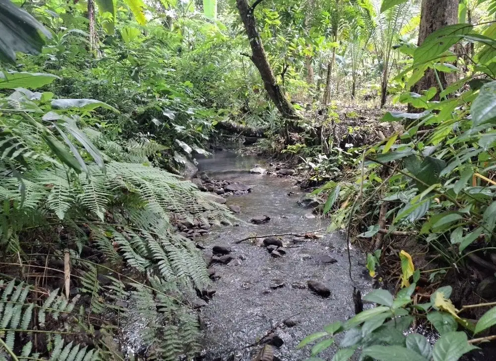 Dijual tanah kebun di area villa dan desa wisata