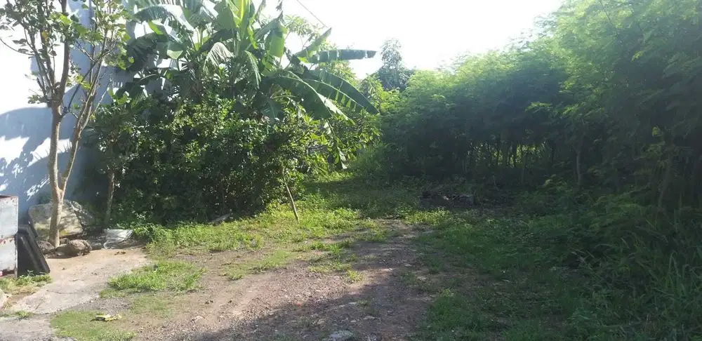 Di Jual Kavling Luas Tanah 3100 Strategis Denpasar Timur