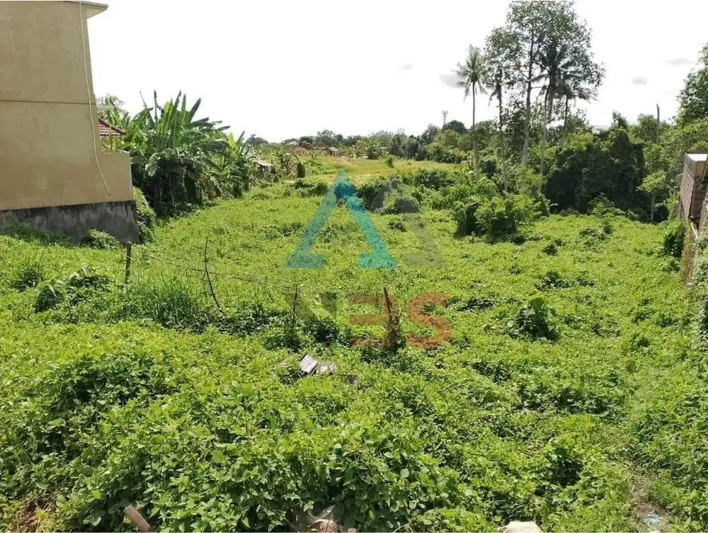 DiJual Tanah / Freehoold Lokasi Padang Tawang Babakan Canggu Badung