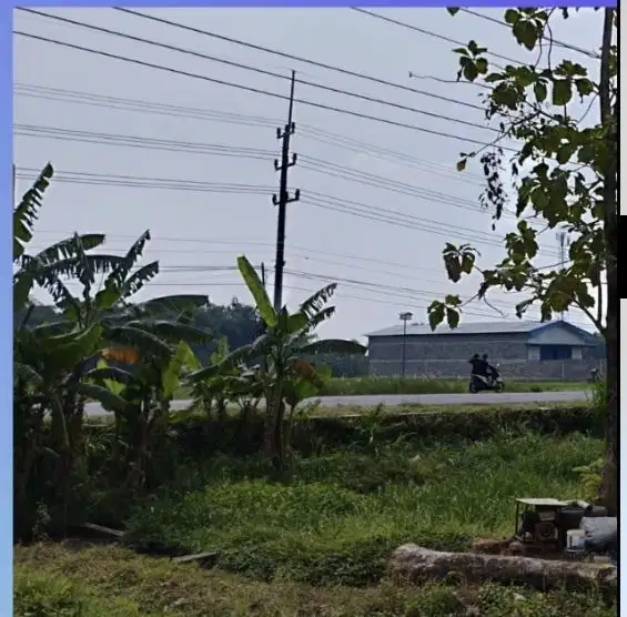 Raya mojowarno jombang tanah industri