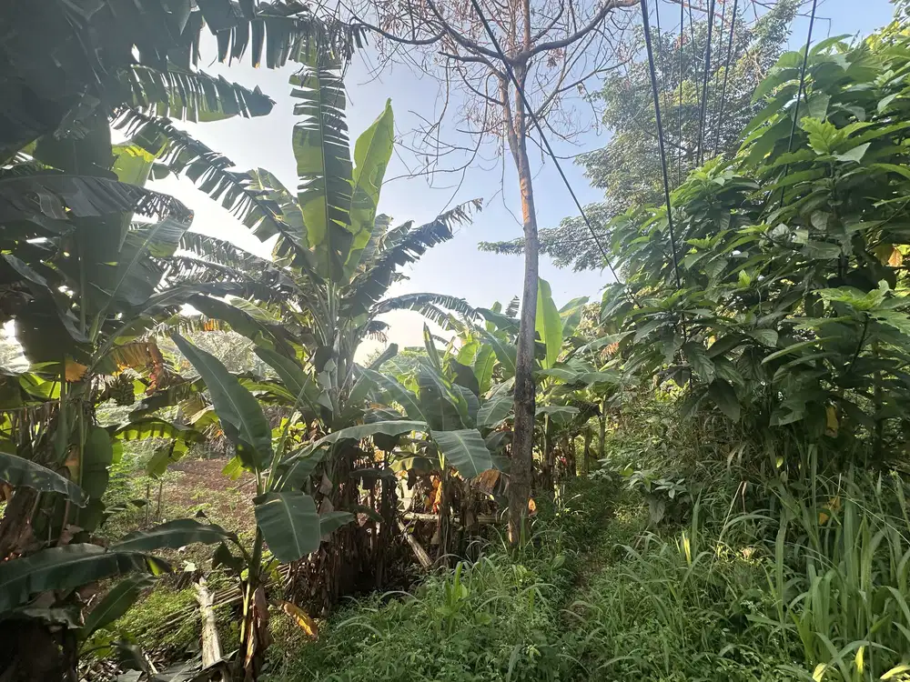 Jual tanah komersil usaha ruko di krukut tol brigif jakarta. Selatan