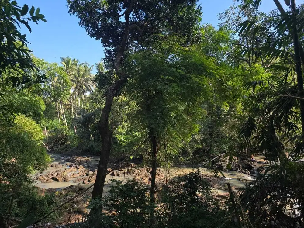 Dijual tanah los sungai di selamadeg tabanan