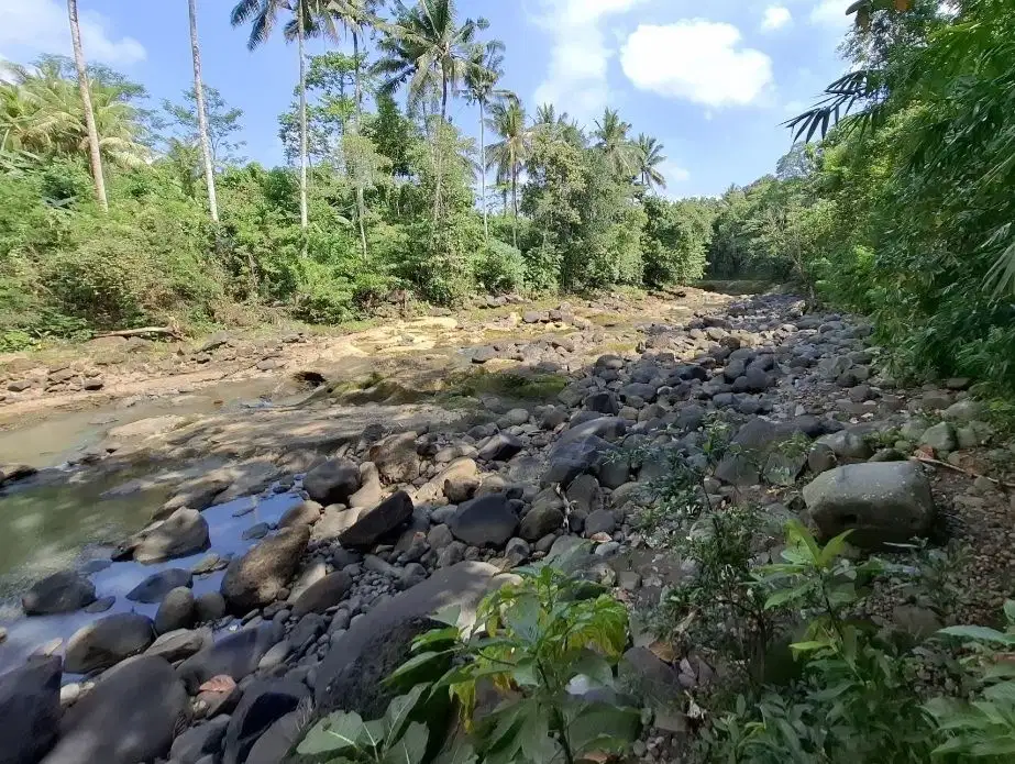 Dijual tanah los sungai besar di tabanan