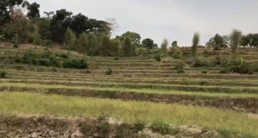 Pacet mojokerto jl kemiri cck untuk wisata