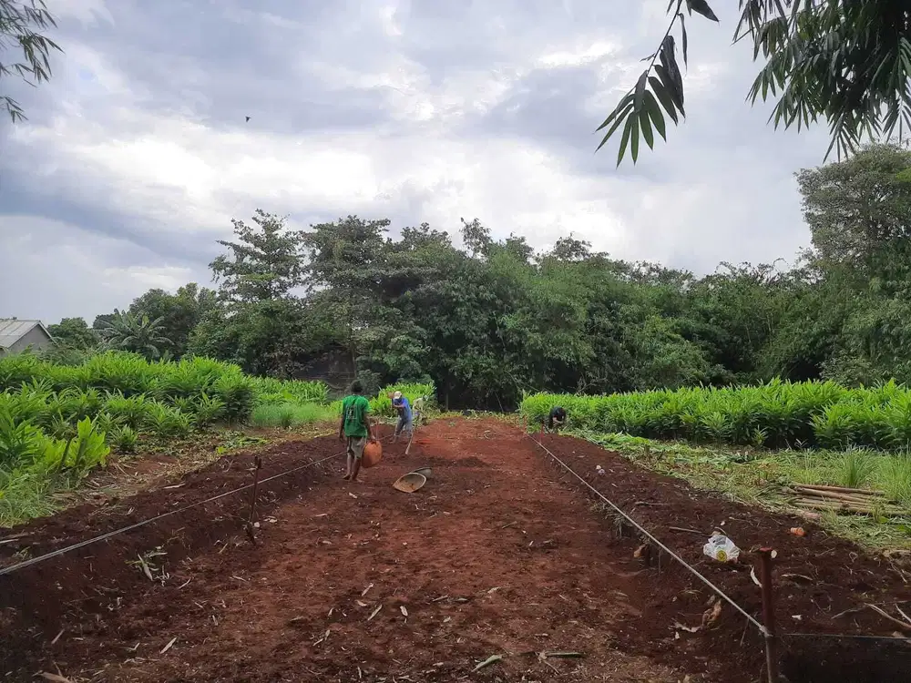 Tanah Kavling Dekat Rs Mitra Keluarga Cibubur , SHM Pecah