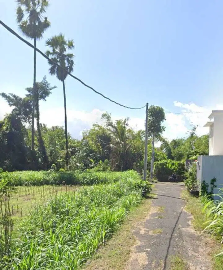 DIJUAL / FREEHOLD  TANAH VIEW SAWAH, JL PANTAI SABA, GIANYAR