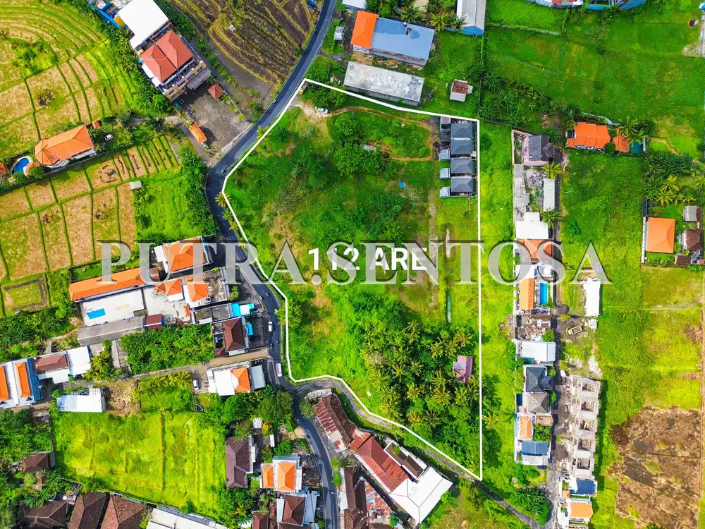 LAND FOR LEASE MAIN ROAD CANGGU NYANYI