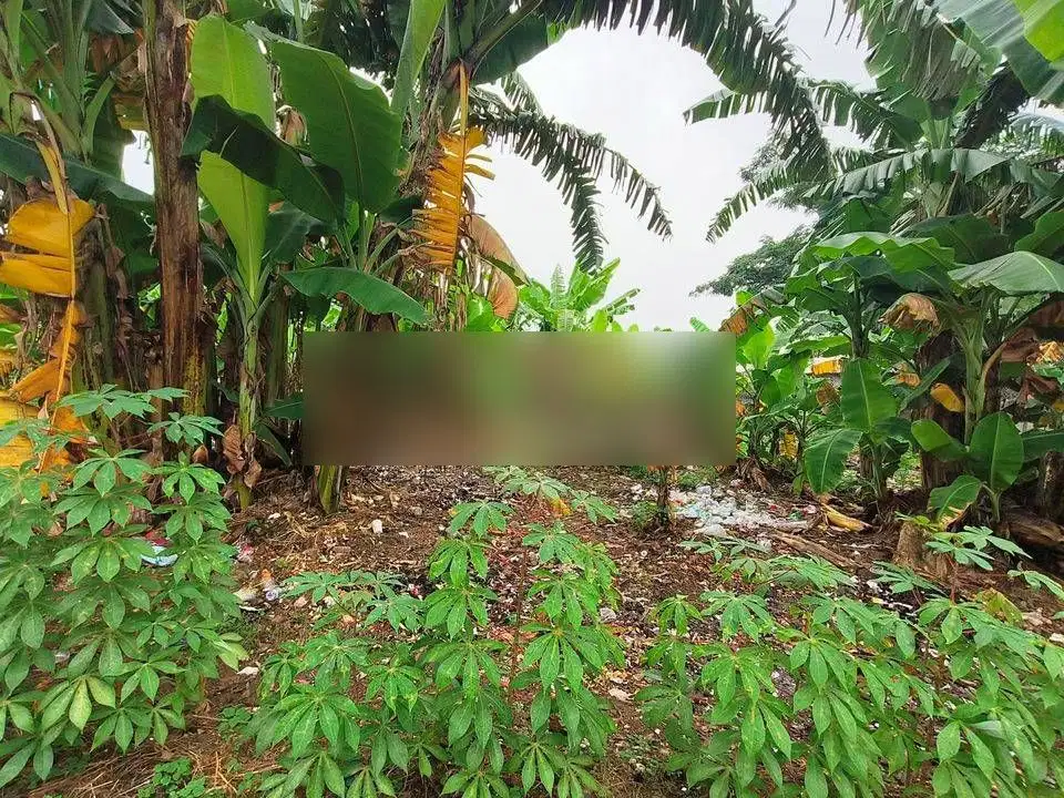 Tanah darat 4.000m di gading Serpong dekat sekolah, dan pusat kuliner