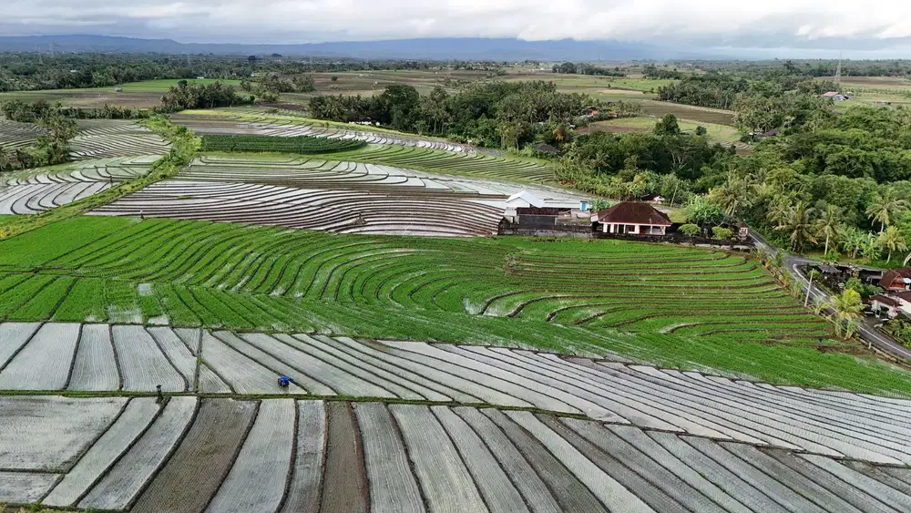 Di jual tanah dekat pantai dengan view di kelilingi sawah