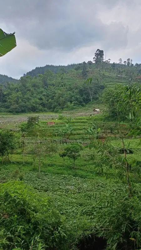Tanah daerah Ciwidey Bandung view cantik cocok u/pertanian,wisata