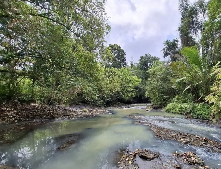 Tanah kebun view sungai sangat murah di tabanan
