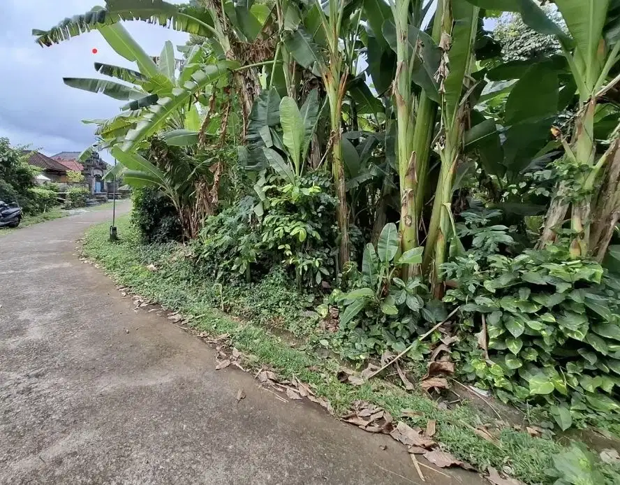 12 are zona pink dekat pantai pariwisata di tabanan