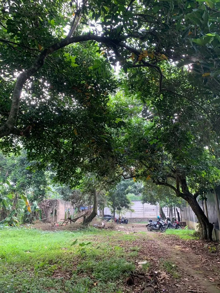 Kavling Siap Bangun Cikeas Asri, Dekat Tol Jatikarya & Fasilitas Umum