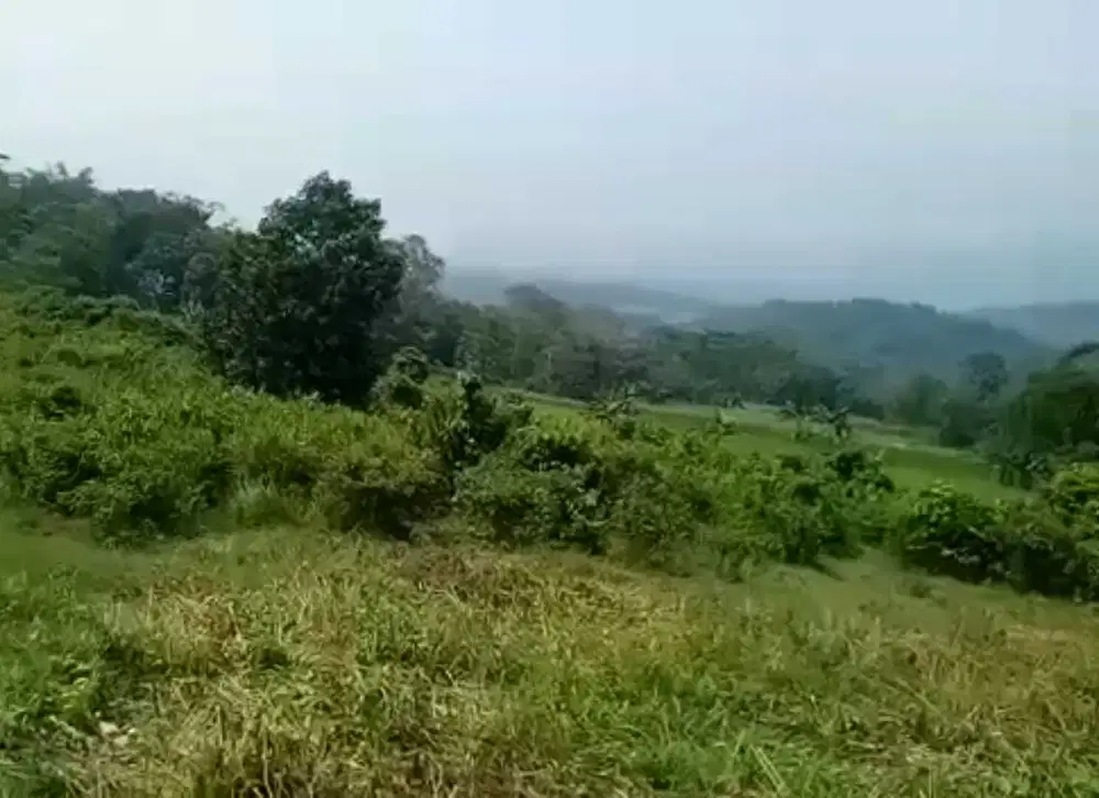 Tanah mata air perkebunan dan villa view gunung di cariu bogor