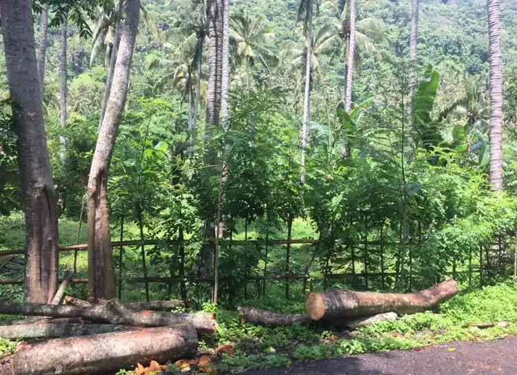 DIJUAL Tanah 2000m di Senggigi Lombok NTB