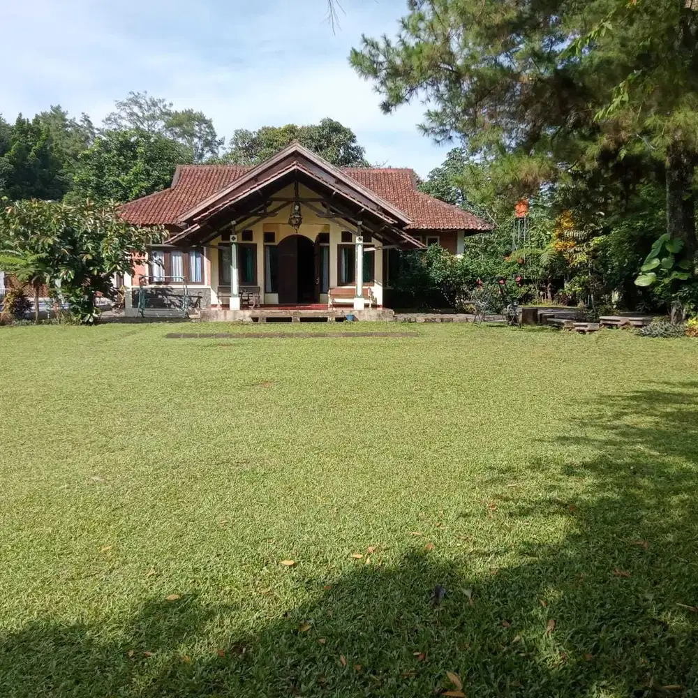 Dijual Cepat Villa Luas Terawat, Produktif di Megamendung Strategis