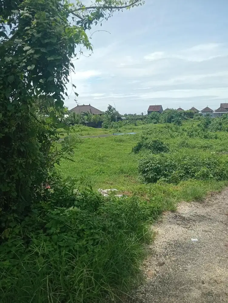Jual Cepat Tanah Cocok Untuk Perumahan Tabanan Bali
