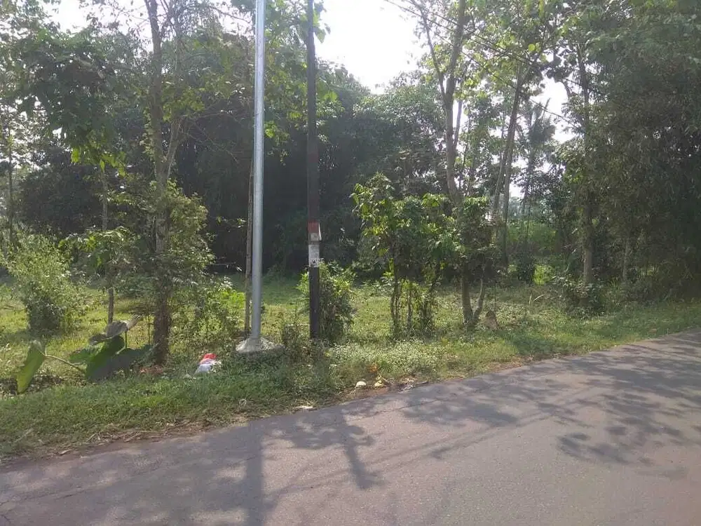 Jabung singosari nol jalan