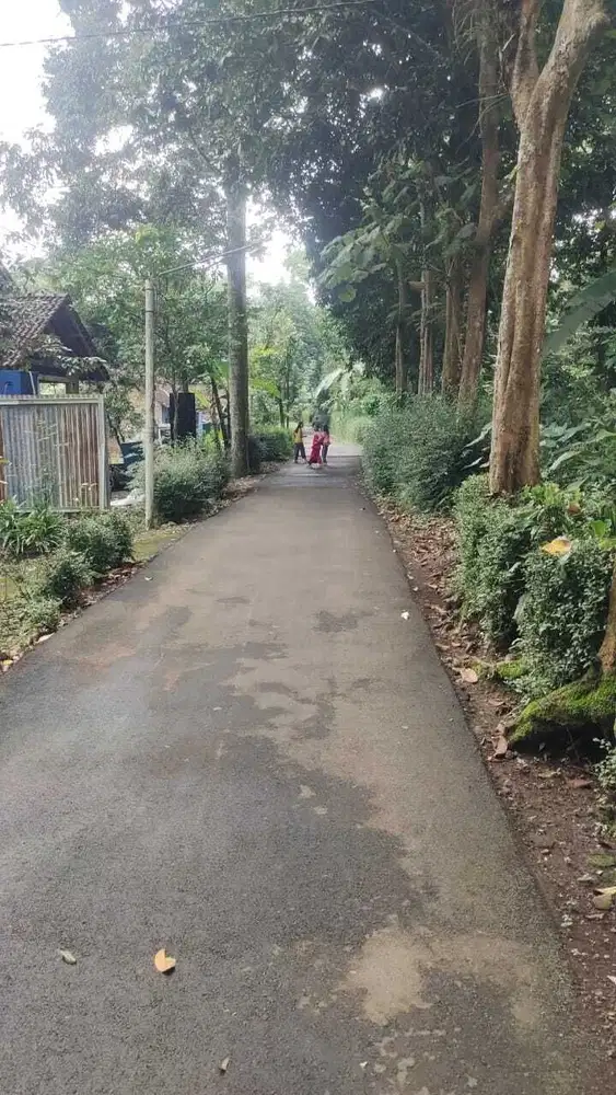 Jual Cepat Tanah di Tuntang Semarang dekat Salatiga