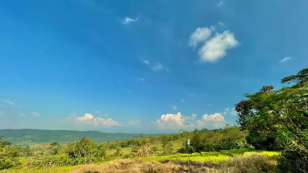 Dijual Murah Tanah 1 ha Akses Mobil View Bagus di Bojong Purwakarta