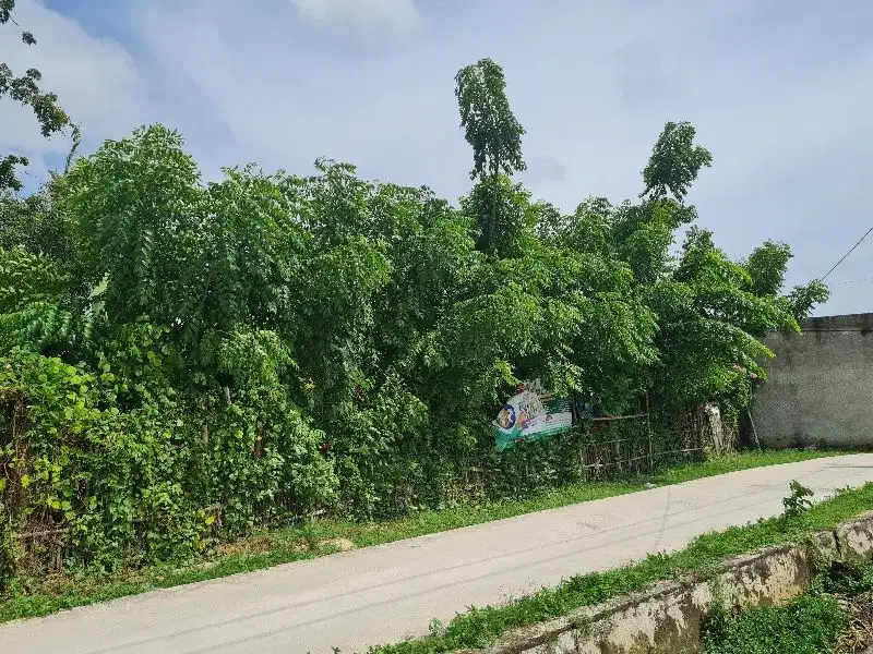 Tanah Darat Murah Cocok Buat Investasi