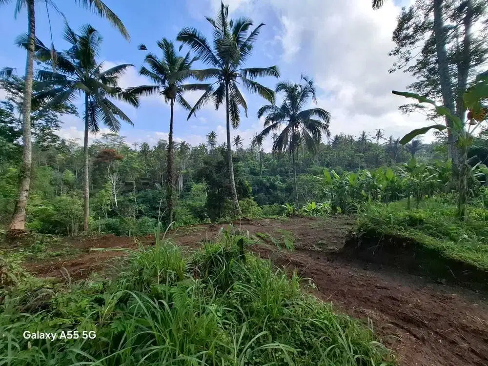 Di Jual Tanah Tegalalang Gianyar  View jungle and River