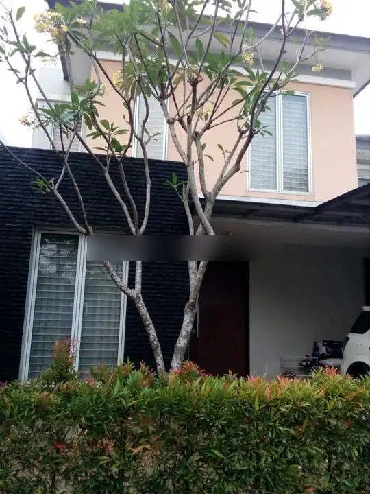 Rumah premier park1