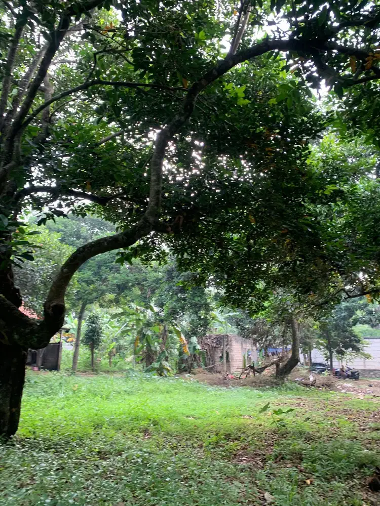 Promo Kavling Cikeas Asri, Lokasi Strategis & Harga Terjangkau