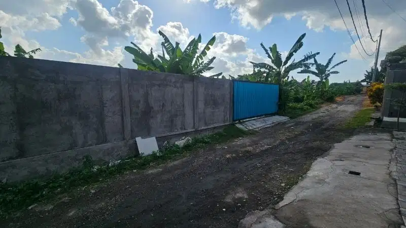 DIJUAL TANAH KOMERSIL 3 ARE LOKASI TUMBAK BAYUH PRERENAN