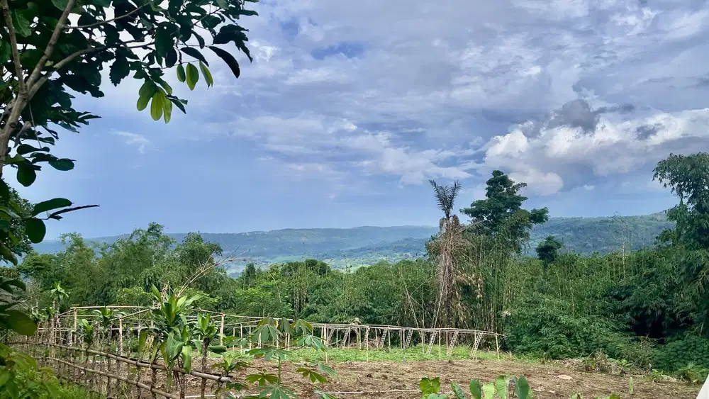 Dijual Murah Tanah Kebun 2183 m2 SHM di Bojong Purwakarta