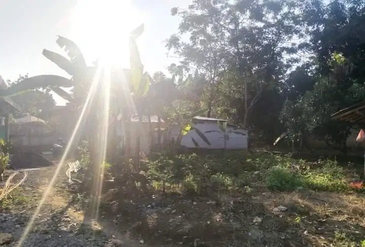 Tanah Tembalang Undip Strategis