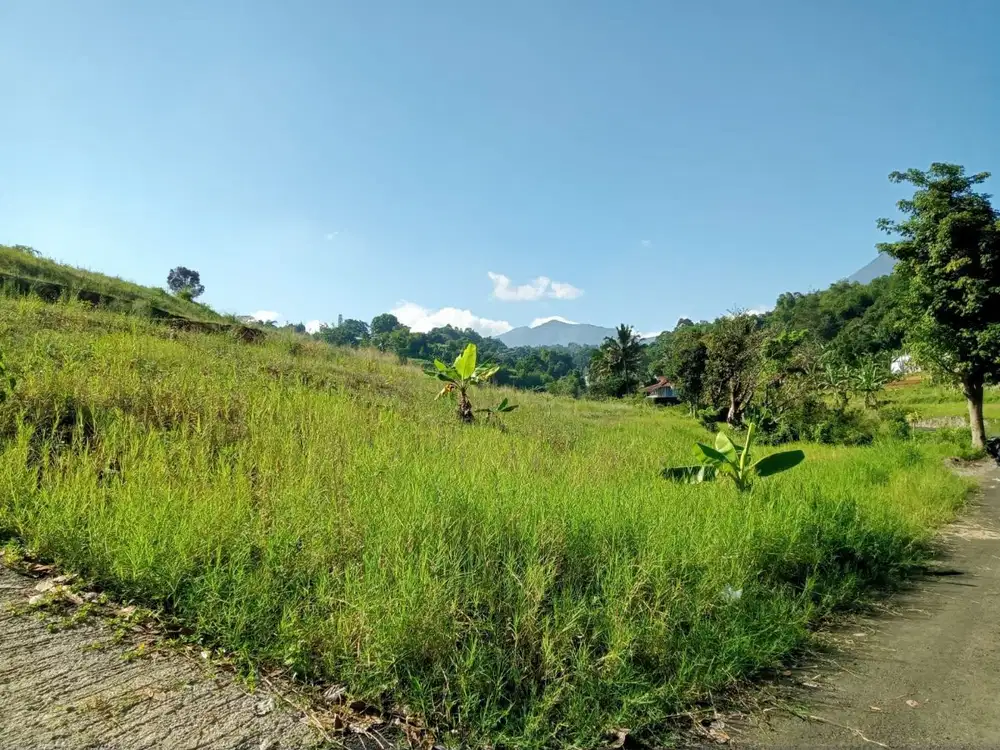 Tanah kavling murah di area wisata cisarua puncak bogor