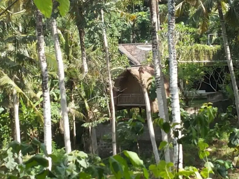 TANAH 30 ARE DI JLN SIULAN DENPASAR TIMUR BALI