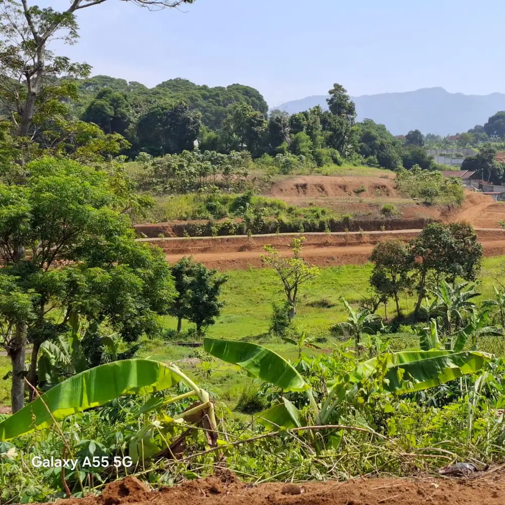 Tanah sejuk dingin berkabut cisarua puncak