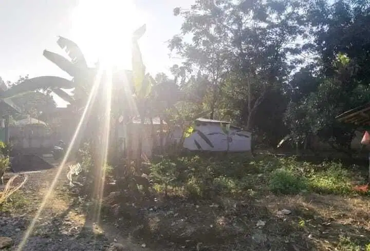 Tanah Tembalang Bulusan Utara Undip