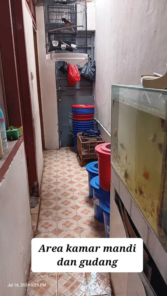 Dijual Rumah Standard di Kelapa Molek Summarecon Kelapa Gading