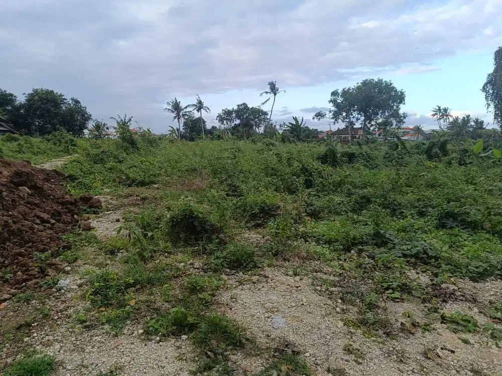 tanah 34 are dekat pantai seseh