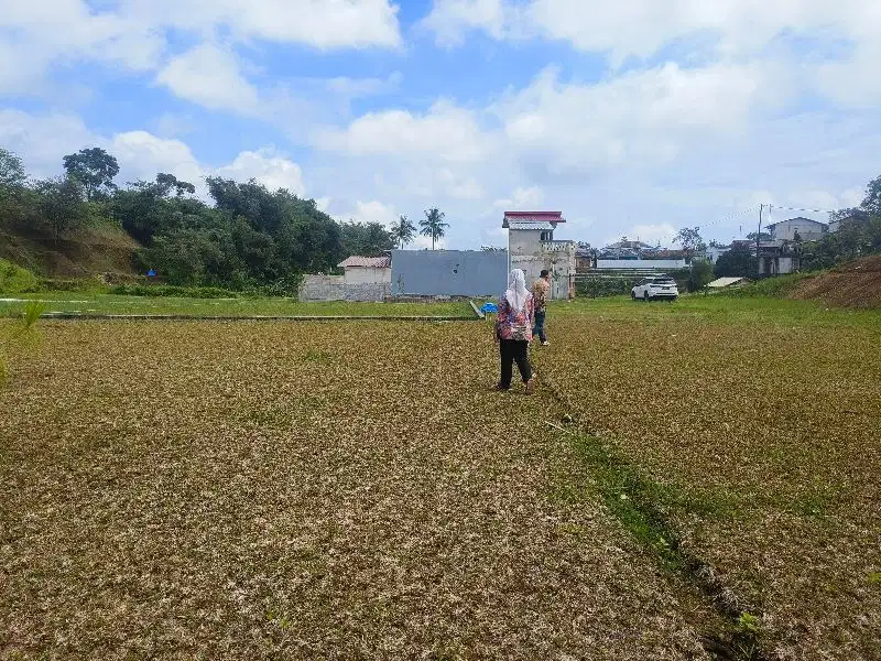 Tanah 250 M2 SHM Di Megamendung Bogor Dekat Exit Tol