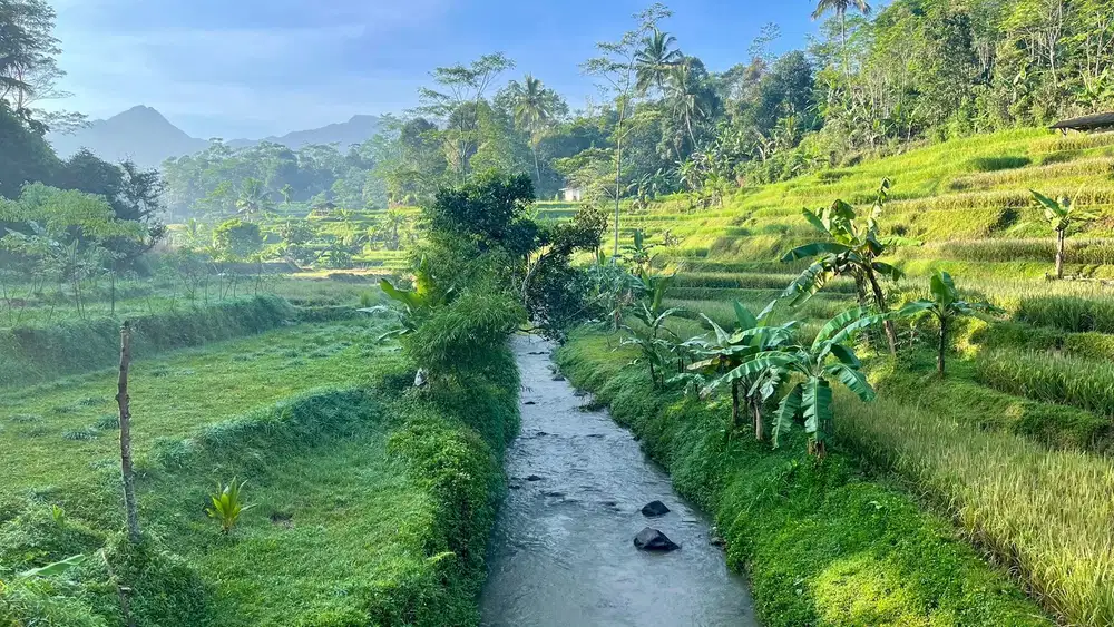 Tanah Pinggir Sungai ada Mata Air Dijual Murah di Bojong Purwakarta