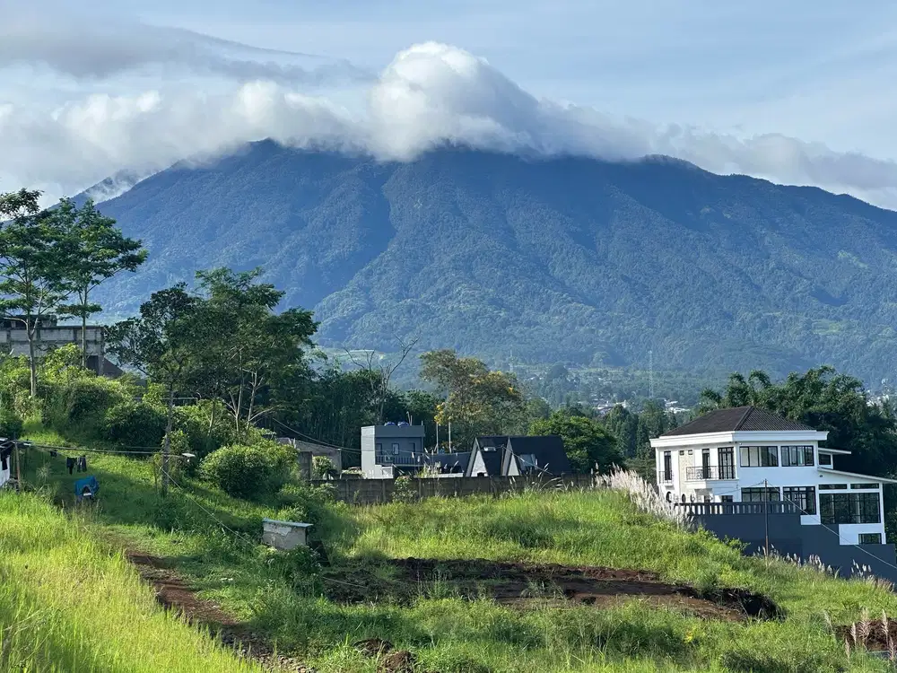 Lokasi tanah sultan si puncak megamendung bogor