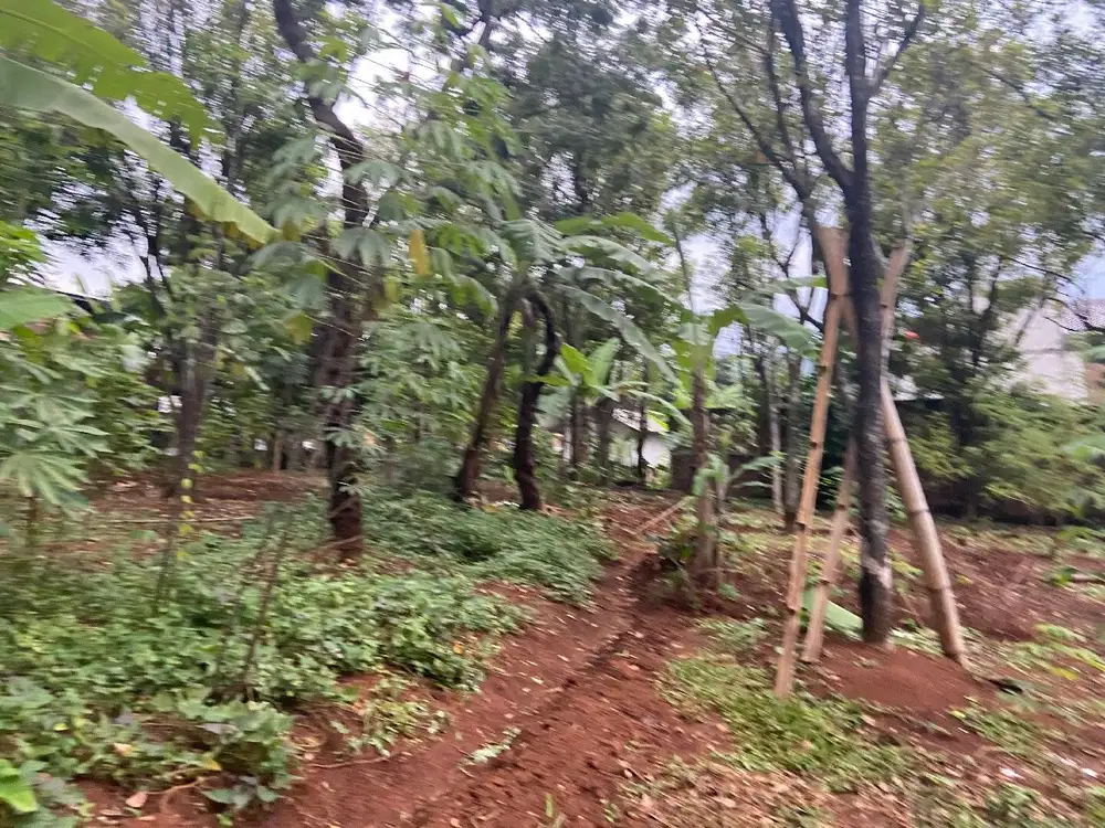 Tanah Kavling Bandung Kota Cocok Untuk dibangun Rumah Hunian