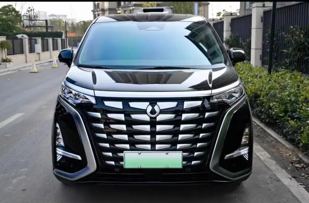 Denza D9 Projector Light