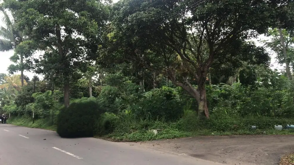 Cash Bertahap Tanah Murah di Argomulyo Salatiga u/ cluster, kavling