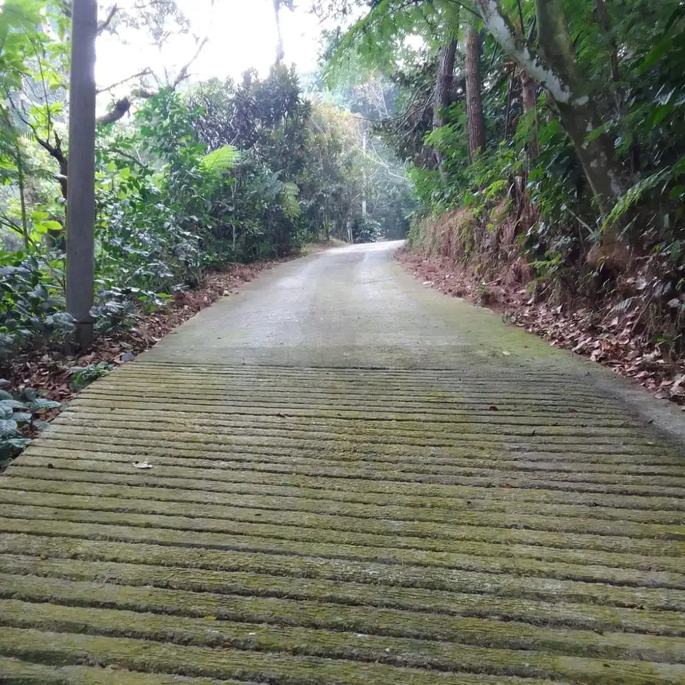 Tanah di Cisarua Puncak ada Curug Bonus Taman Bermain ajb